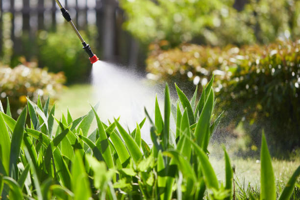Tamper-Resistant Bait Stations for Rodents in Goodlettsville