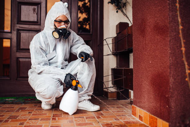 Attic and Crawl Space Rodent Treatment in Goodlettsville